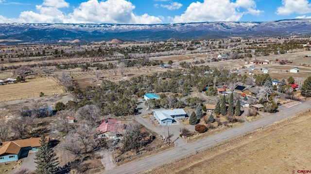 birds eye view of property featuring a mountain view