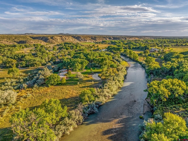 aerial view with a forest view