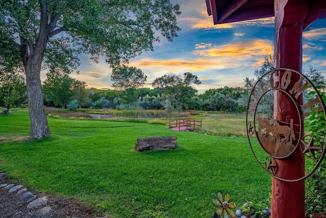 view of yard at dusk