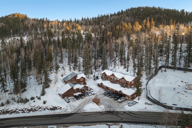 snowy aerial view featuring a mountain view and a view of trees