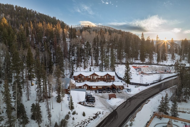 snowy aerial view with a wooded view