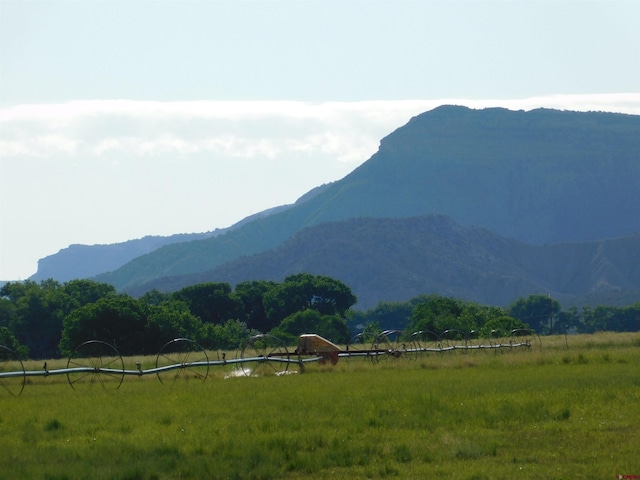 22215 Rd D.6, Cortez, CO 81321