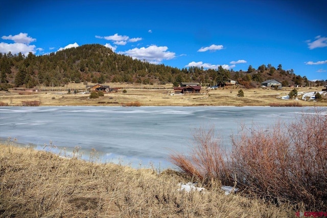 127 Pebble Cir, Pagosa Springs CO, 81147 land for sale