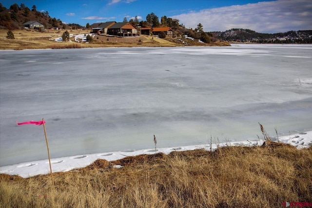 Listing photo 3 for 127 Pebble Cir, Pagosa Springs CO 81147