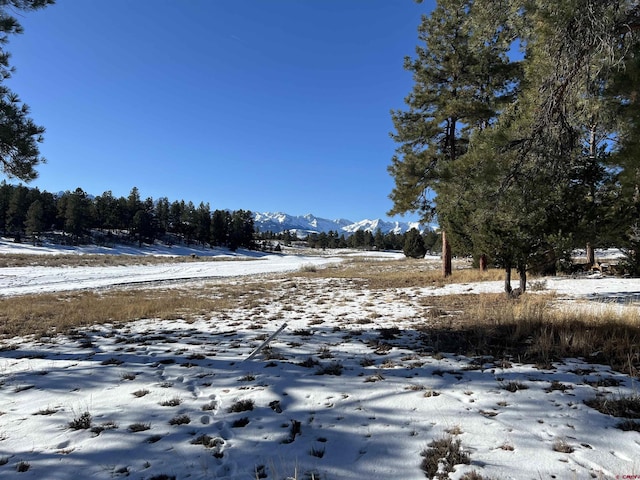 340 Marmot Dr, Ridgway CO, 81432 land for sale