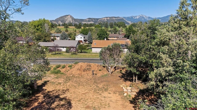 Listing photo 3 for 1396 Goeglein Gulch Rd, Durango CO 81301