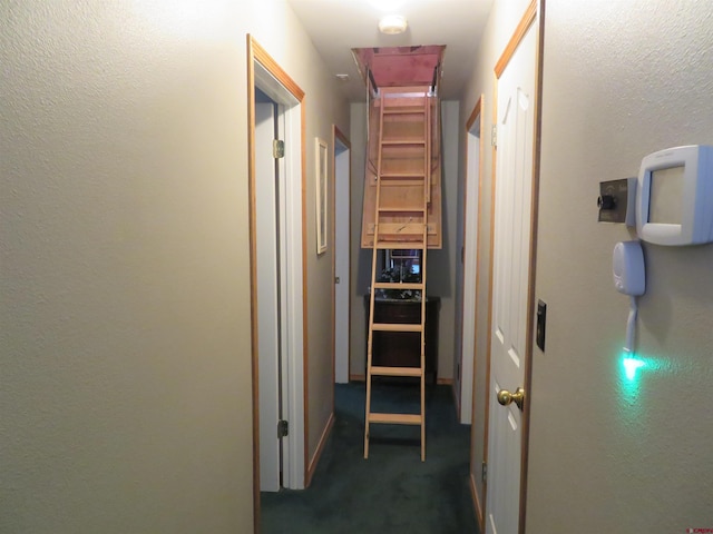 hallway with dark colored carpet