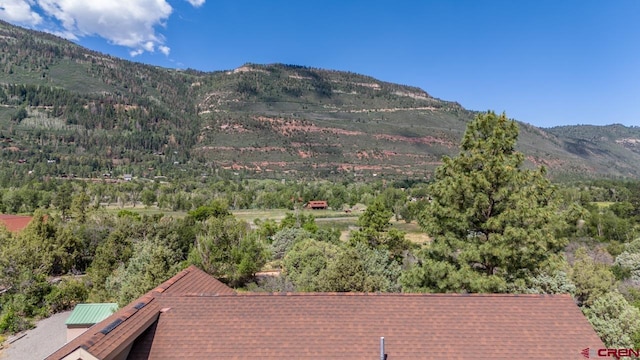 view of mountain feature