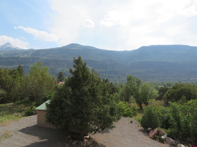 view of mountain feature with a forest view