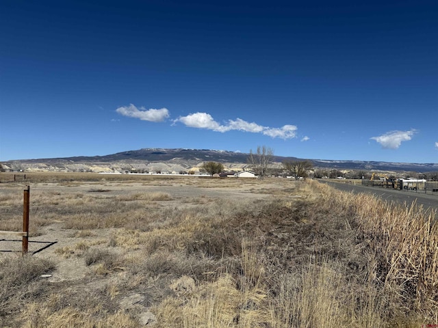 10.5ACLOT1B 1525th Rd, Delta CO, 81416 land for sale