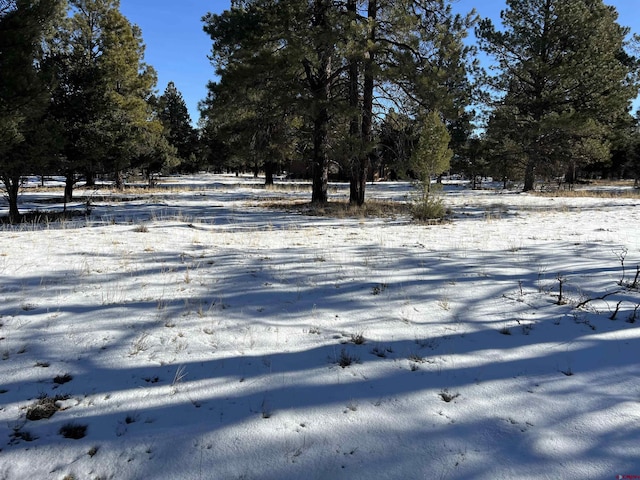 63 Pronghon Ln, Ridgway CO, 81432 land for sale