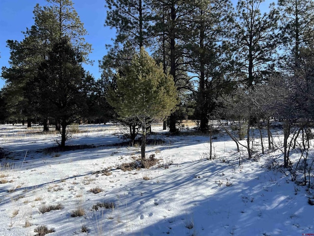 Listing photo 2 for 63 Pronghon Ln, Ridgway CO 81432