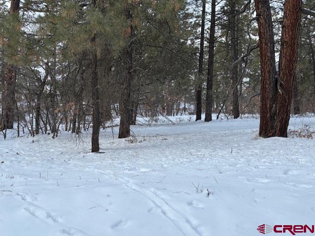 2932 Crooked Rd, Pagosa Springs CO, 81147 land for sale