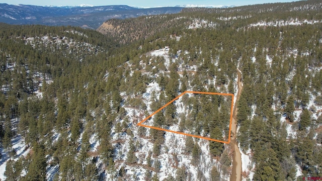 Listing photo 2 for 2932 Crooked Rd, Pagosa Springs CO 81147