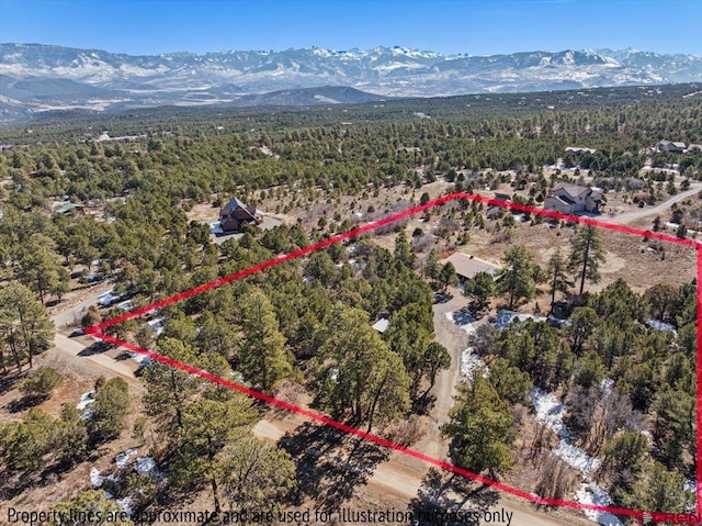 bird's eye view featuring a mountain view and a view of trees