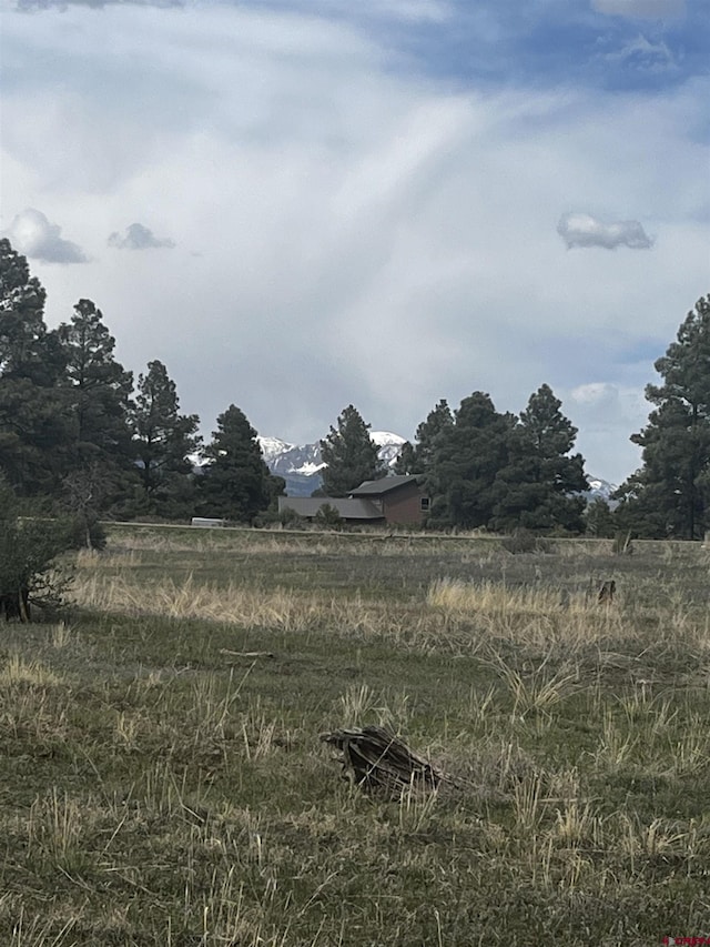 317 Domicile Cir, Pagosa Springs CO, 81147 land for sale