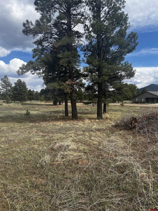 Listing photo 2 for 317 Domicile Cir, Pagosa Springs CO 81147