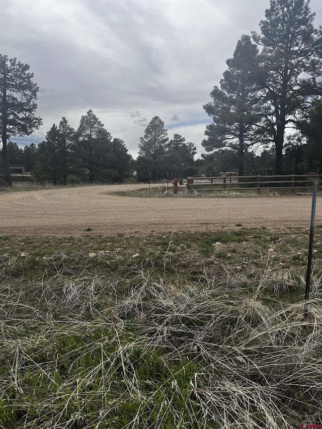 Listing photo 3 for 317 Domicile Cir, Pagosa Springs CO 81147