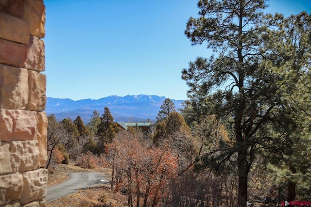 mountain view featuring a view of trees