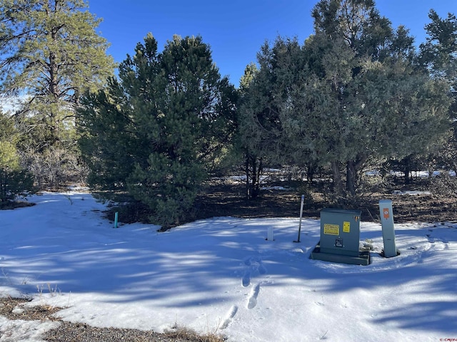 Listing photo 3 for TBD Cottontail Ln, Ridgway CO 81432