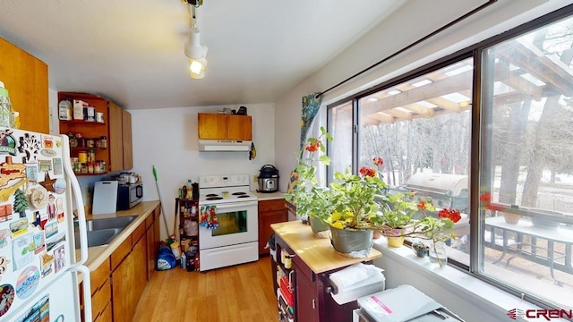 kitchen with under cabinet range hood, white appliances, a sink, light wood-style floors, and light countertops