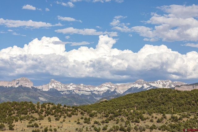 property view of mountains featuring a view of trees
