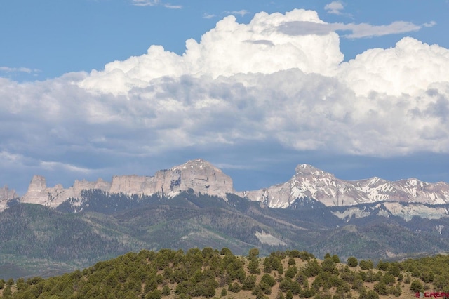 mountain view featuring a view of trees