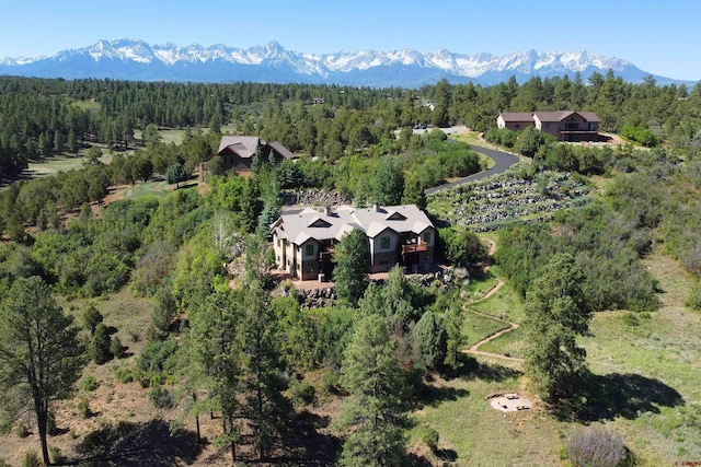 bird's eye view with a mountain view and a view of trees