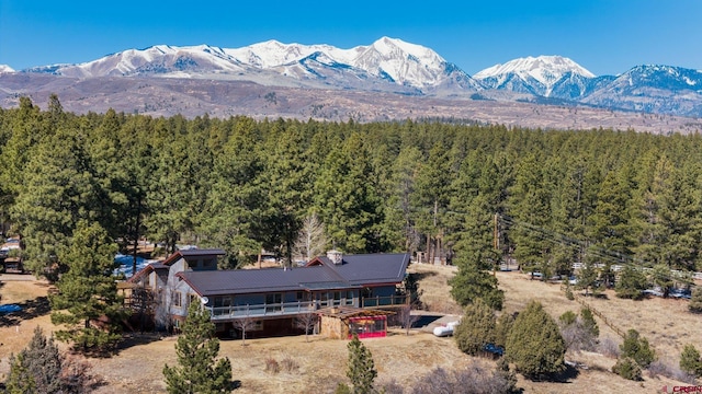 mountain view with a view of trees