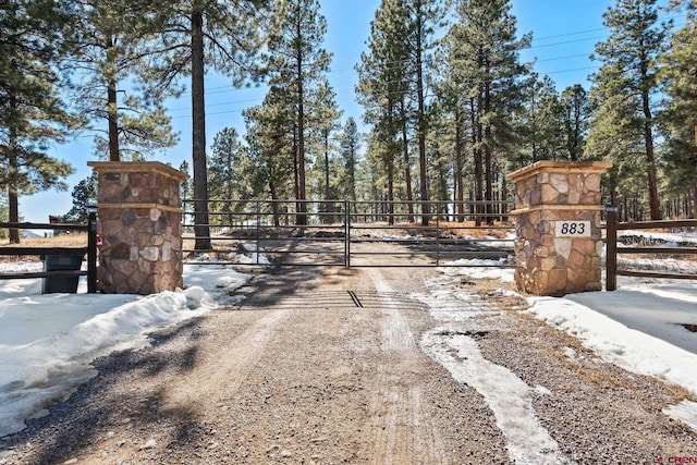 view of road featuring driveway, a gated entry, and a gate