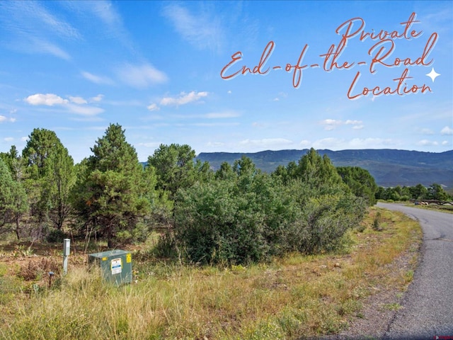 Listing photo 3 for 23 Pine Dr, Ridgway CO 81432