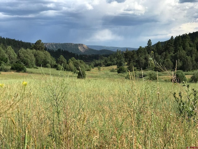 273 Crestone Pl, Pagosa Springs CO, 81147 land for sale