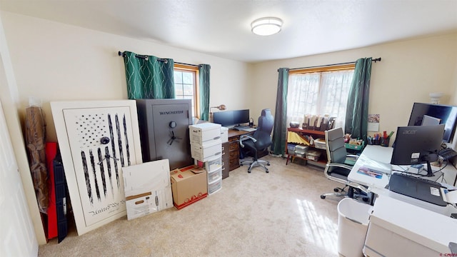 office area featuring carpet floors