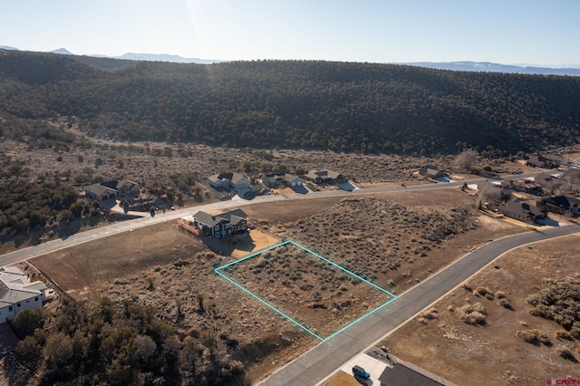 705 SE Pinyon St, Cedaredge CO, 81413 land for sale