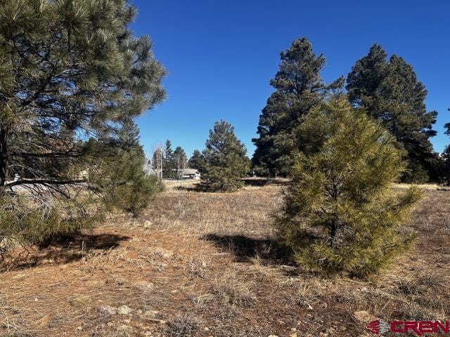 183 Park Ave, Pagosa Springs CO, 81147 land for sale