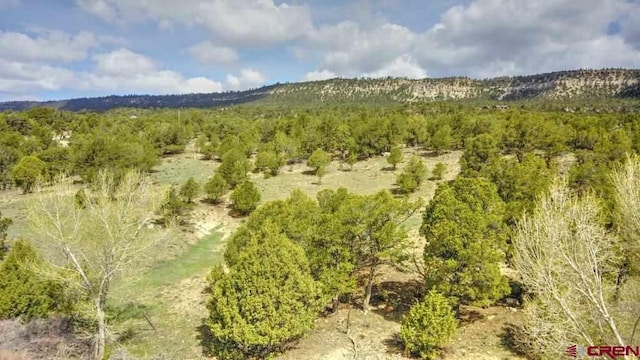 Listing photo 3 for LOT1 Last Stand Rd, Ridgway CO 81432