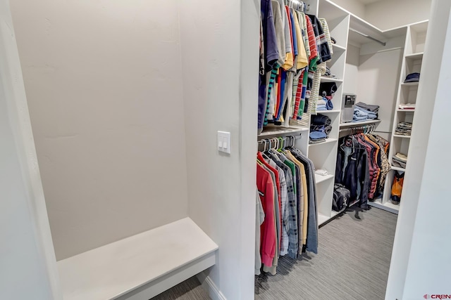 spacious closet featuring light colored carpet