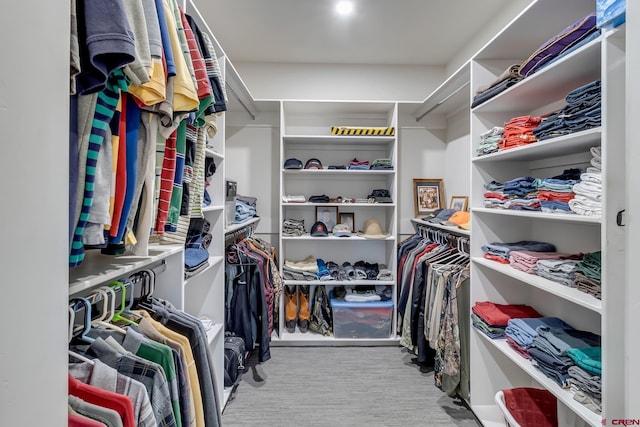 view of spacious closet