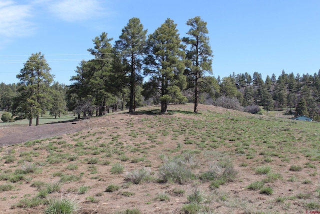 2901 County Road 500, Pagosa Springs CO, 81147 land for sale