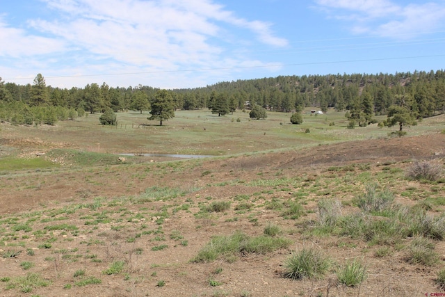 Listing photo 3 for 2901 County Road 500, Pagosa Springs CO 81147