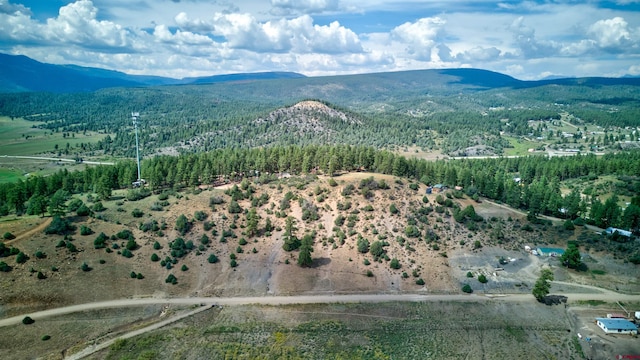 859HURTDR & Pl, Pagosa Springs CO, 81147 land for sale