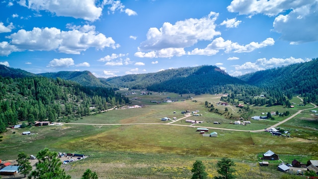 Listing photo 3 for 859HURTDR & Pl, Pagosa Springs CO 81147