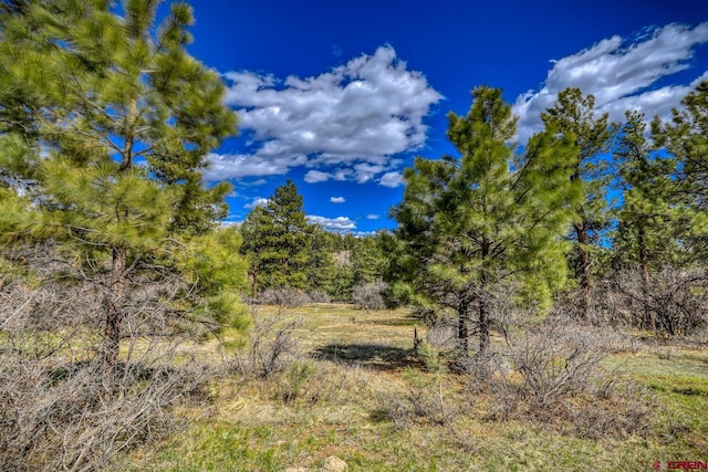 Listing photo 2 for 218 Appaloosa Cir, Pagosa Springs CO 81147