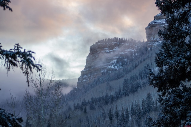 property view of mountains featuring a forest view