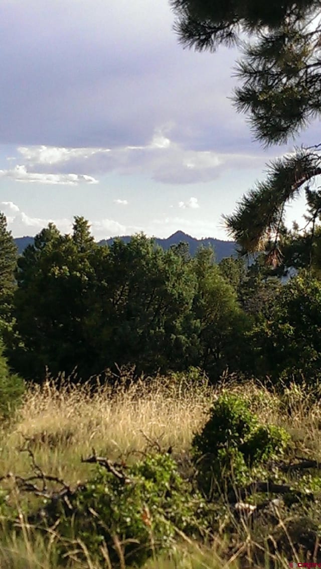 Listing photo 3 for 43 Butzke Ct, Pagosa Springs CO 81147