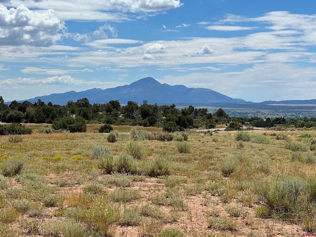 TBD Road 25, Dolores CO, 81323 land for sale