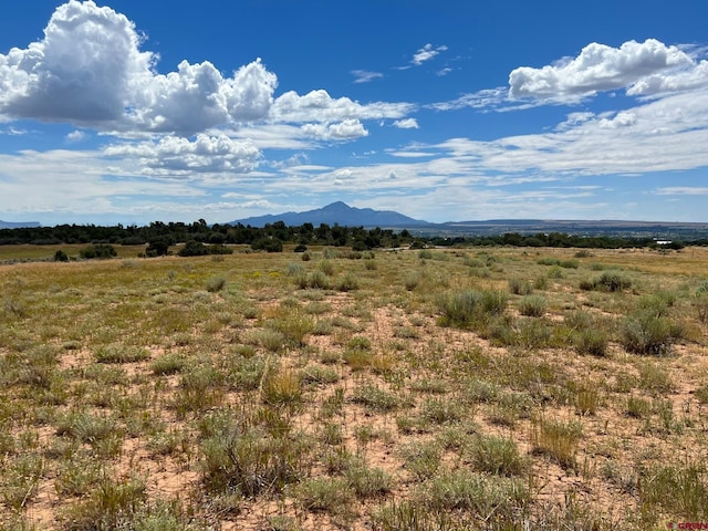 Listing photo 2 for TBD Road 25, Dolores CO 81323