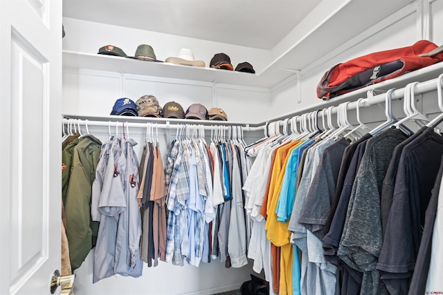 view of spacious closet