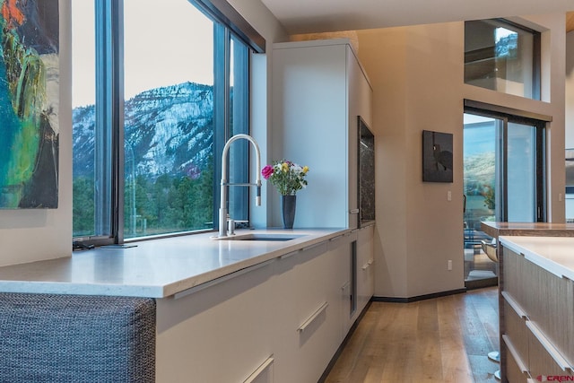 kitchen featuring a sink, baseboards, light wood-style floors, light countertops, and modern cabinets