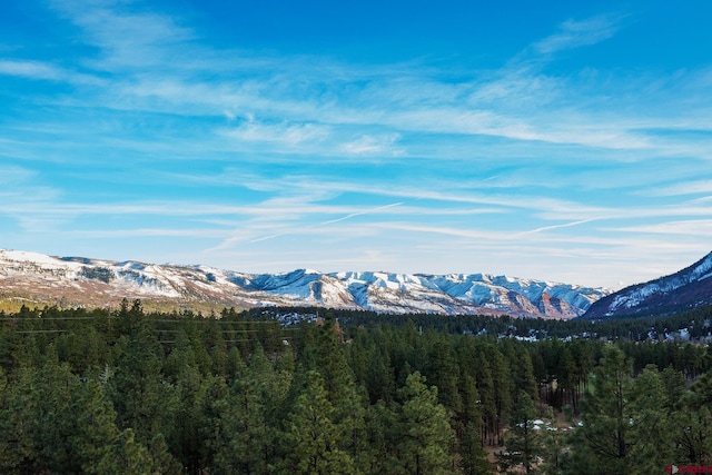 view of mountain feature with a forest view